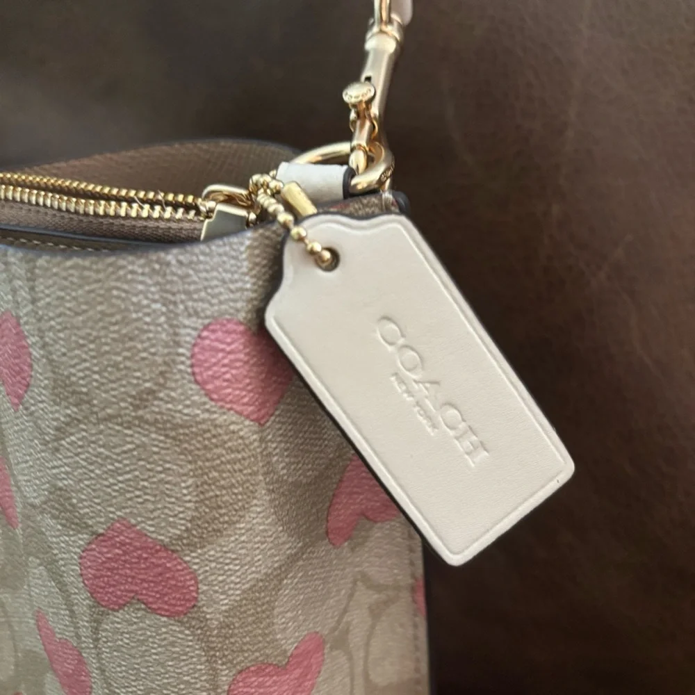 Coach Limited Edition Mollie Bucket 22 Bag Valentines 2024 Collection Pink Heart - Picture 9 of 16